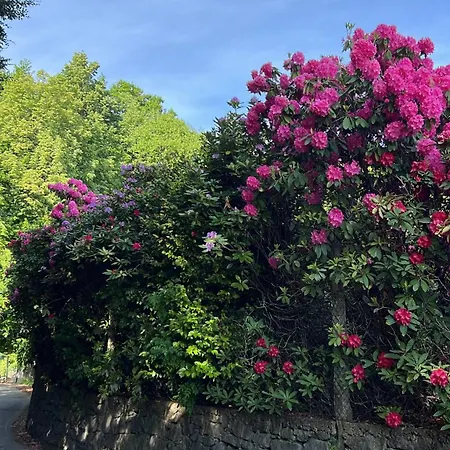 Ca D'libra, Nature And Relax In Burcina Park Apartamento